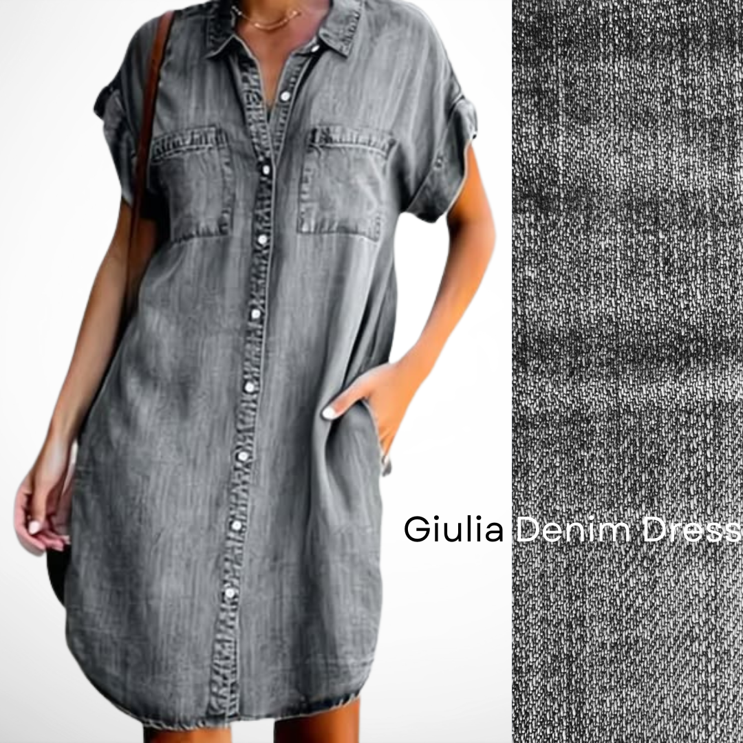 Guilia Denim Dress