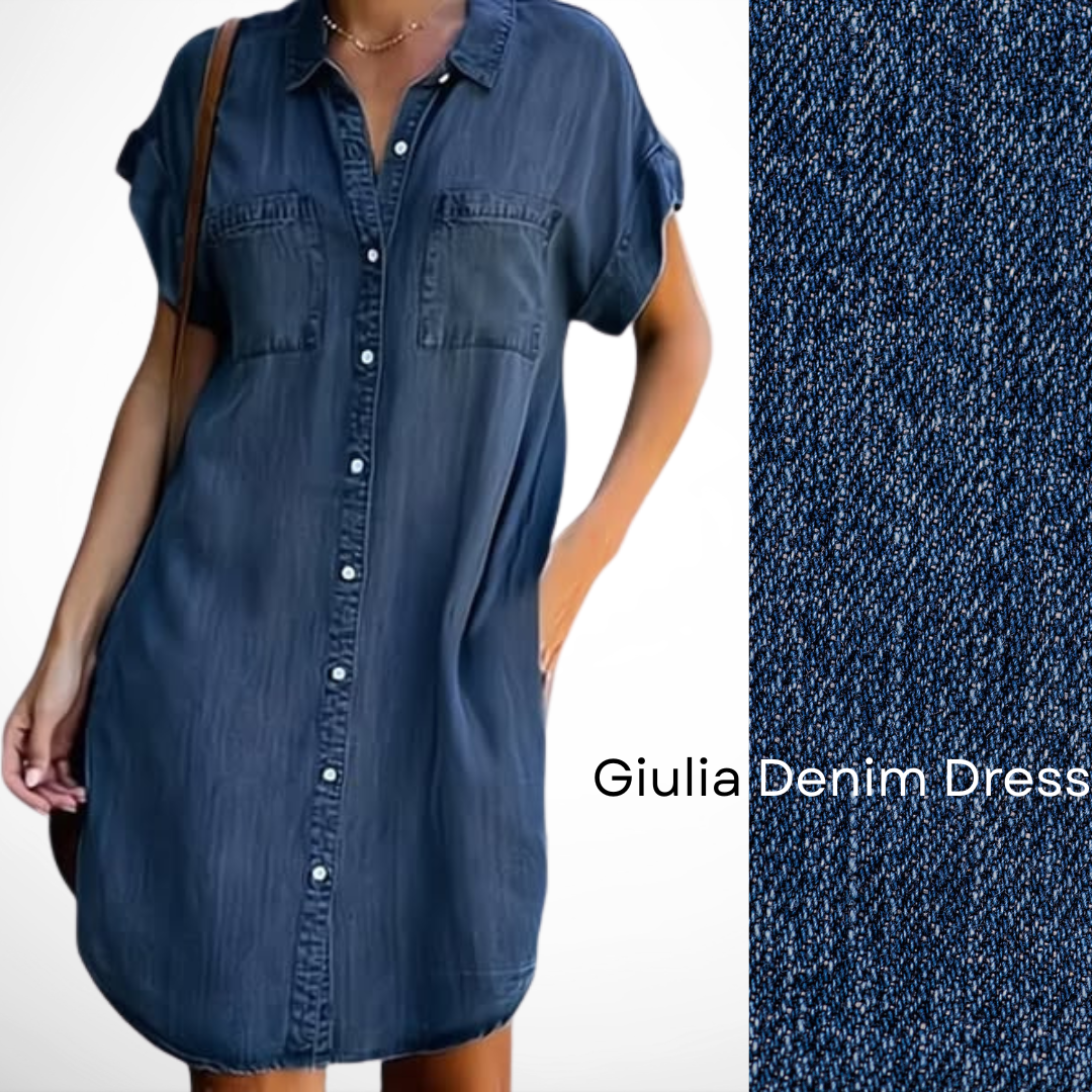 Guilia Denim Dress